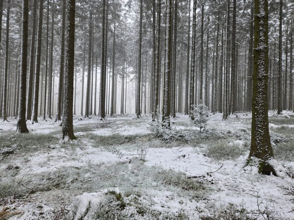 Bilder von Marc Altenhofen