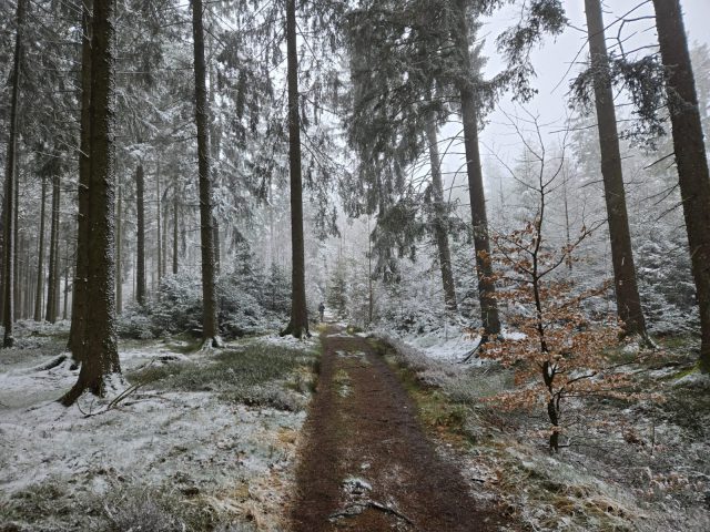 Bilder von Marc Altenhofen